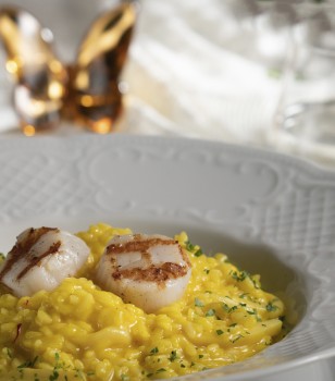 Saffron Risotto with sea scallops and calamari