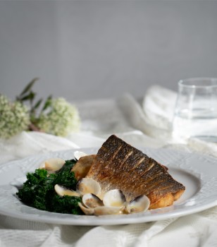 Sea bass filet